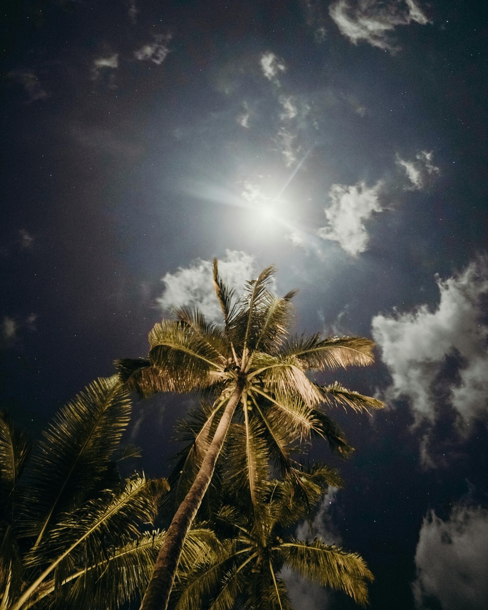 destination image